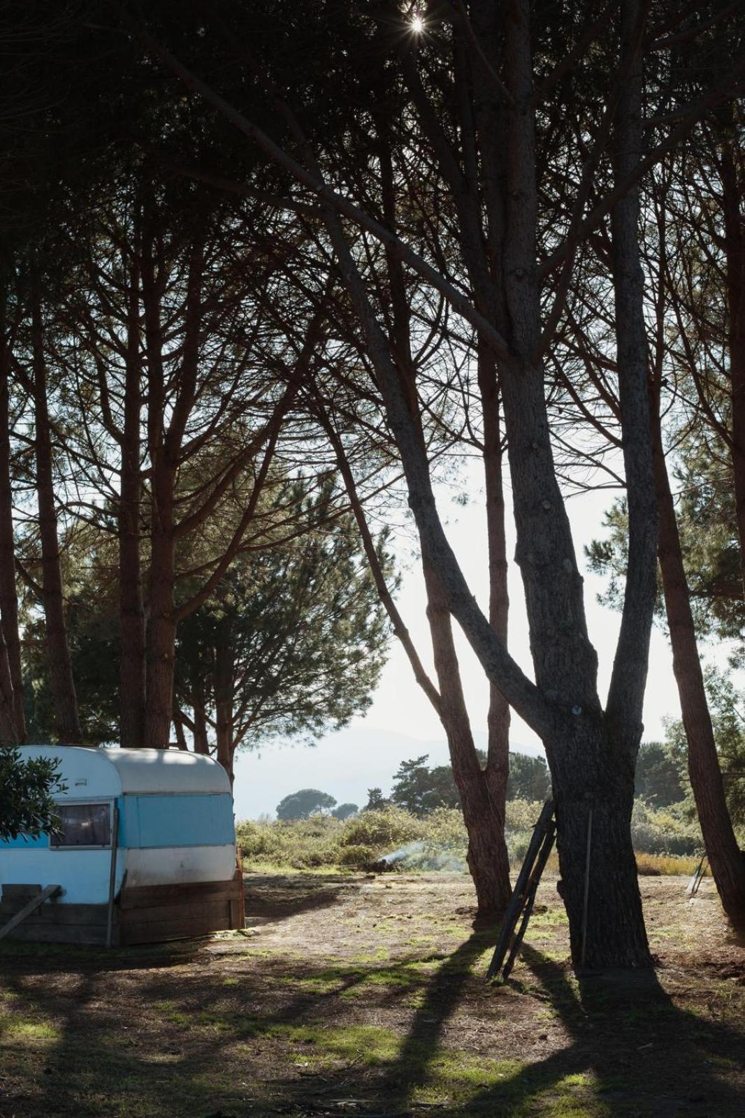 Caravane Janis On The Beach Lucciana  Esterno foto